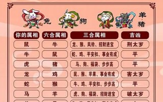十二生肖配对(属兔十二生肖配对)
