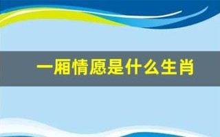 一厢情愿是什么生肖(一厢情愿是哪个生肖)