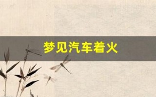 梦见汽车着火(周公解梦大全查询梦2345原版)