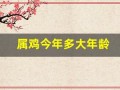 属鸡今年多大年龄(属兔今年多大年龄)