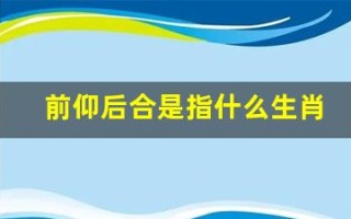 前仰后合是指什么生肖(前仰后合是指什么生肖呢图片)