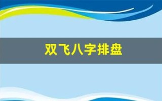 双飞八字排盘(双飞八字排盘生辰八字算命-八字排盘宝)