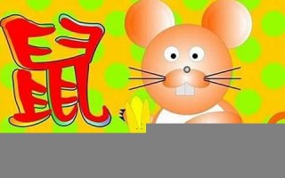 属鼠几月出生最好(属鼠几月出生最好农历女)