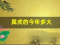 属虎的今年多大(属鼠今年多大年纪)