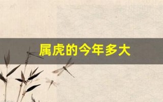 属虎的今年多大(属鼠今年多大年纪)