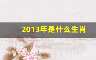 2013年是什么生肖年(2013年是什么生肖年属)