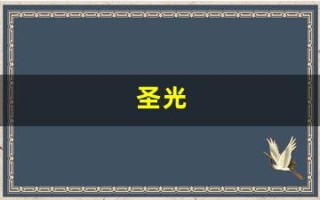 圣光(圣光医疗器械有限公司)
