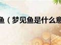 梦见鱼 周公解梦(梦见鱼周公解梦好不好)