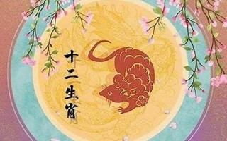 属鼠人2022年全年运势运程(属鼠人2024年全年运势运程)