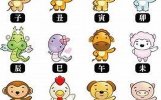 08年属什么生肖(07年属什么生肖)