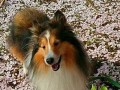 2017年4月13日(2017年4月13日出生五行缺什么)