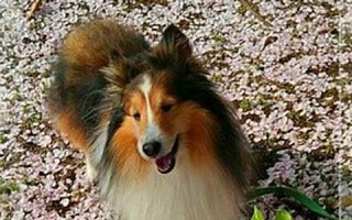 2017年4月13日(2017年4月13日出生五行缺什么)