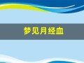 梦见月经血(梦见月经血湿透了整个卫生巾)
