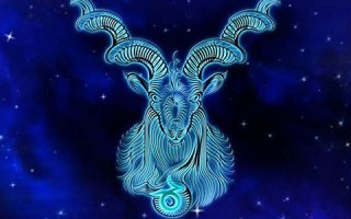魔羯(摩羯女性格)