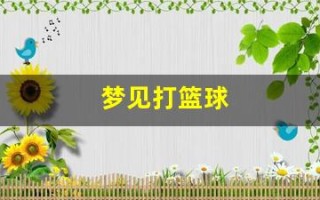 梦见打篮球(梦见打篮球投篮投中了)