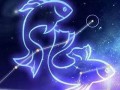 双鱼座和什么星座配(双鱼座和什么星座配情侣)