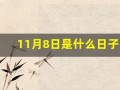 11月8日是什么日子(11月8日是什么日子拉警报)