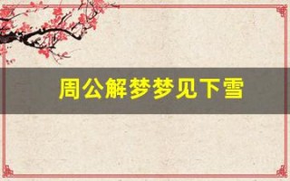 周公解梦梦见下雪