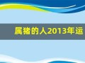 属猪的人2013年运程大全及破解(属猪的人2012)