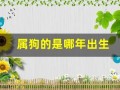 属狗的是哪年出生(属狗哪一年出生的)