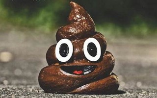 梦见屎(梦见屎沾身是什么预兆)
