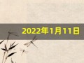 2022年1月11日五行穿衣(2021年1月11日五行色穿衣)