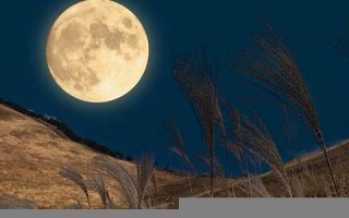 9月10(9月10日用英语怎么说)