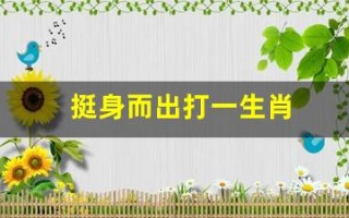 挺身而出打一生肖(挺身而出打一生肖冫)