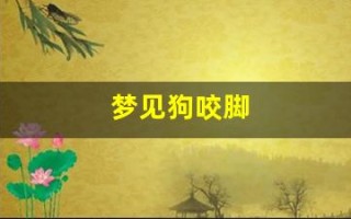 梦见狗咬脚(梦见狗咬脚后跟指什么预兆)