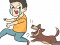 梦见被够狗咬了预示着什么(梦见被够狗咬了预示着什么意思男性)