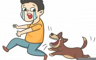 梦见被够狗咬了预示着什么(梦见被够狗咬了预示着什么周公解梦孕妇)