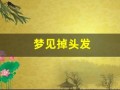 梦见掉头发(梦见掉头发一抓掉一大把)