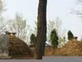 梦见好多坟墓(梦见好多坟墓是什么预兆)