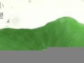 2021年7月7日黄历(2021年7月7日黄历黄道吉日)