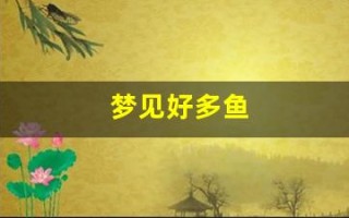 梦见好多鱼(梦见好多鱼在水里游)