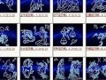 5月24日是什么星座(2021年5月24日是什么星座)