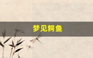 梦见鳄鱼(梦见鳄鱼攻击人)