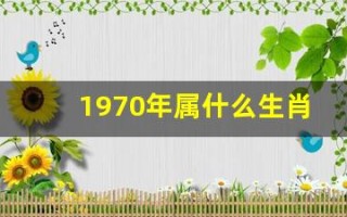 1970年属什么生肖(1970年属什么生肖多少岁了)