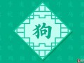 属狗人出生日的命运(属狗人出生日命运时辰)