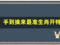 手到擒来最准生肖开特(手到擒来打一字)