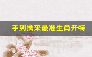 手到擒来最准生肖开特(手到擒来打一字)