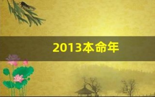 2013本命年(2013本命年蛇需要穿什么)