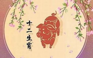 95年属啥(92年属啥)