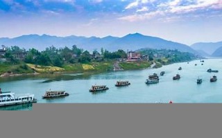 百舸竞渡是什么生肖(百舸竞渡是什么生肖动物)
