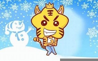属虎人2013年运势(2013年属虎年龄)