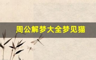 周公解梦大全梦见猫(周公解梦大全梦见猫生一窝小猫)