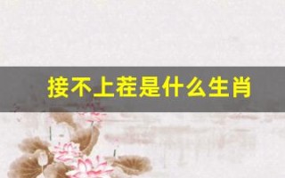 接不上茬是什么生肖(接不上茬是什么生肖词典解释)