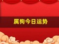 属狗今日运势(属狗今日运势及运程)