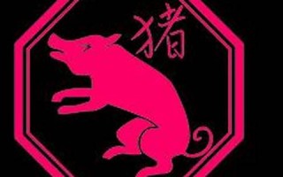 麦玲玲2013年生肖运程(麦玲玲2012年生肖运程)