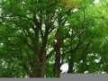 2016年7月28日(2016年7月28日出生的是什么星座)
